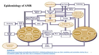 Antimicrobial Resistance Analysis by Maliha Rashid | PPTX