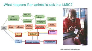 Antimicrobial resistance: Wicked challenge for livestock farmers in low- and middle-income countries