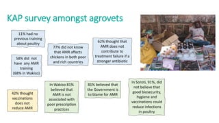 Antimicrobial resistance: Wicked challenge for livestock farmers in low- and middle-income countries
