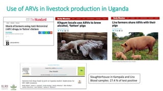 Antimicrobial resistance: Wicked challenge for livestock farmers in low- and middle-income countries