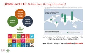 Antimicrobial resistance: Wicked challenge for livestock farmers in low- and middle-income countries