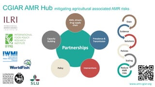 Antimicrobial resistance: Wicked challenge for livestock farmers in low- and middle-income countries