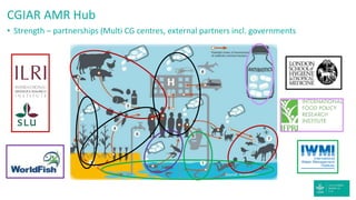 Antimicrobial resistance: Wicked challenge for livestock farmers in low- and middle-income countries