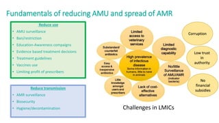 Antimicrobial resistance: Wicked challenge for livestock farmers in low- and middle-income countries