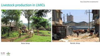 Antimicrobial resistance: Wicked challenge for livestock farmers in low- and middle-income countries