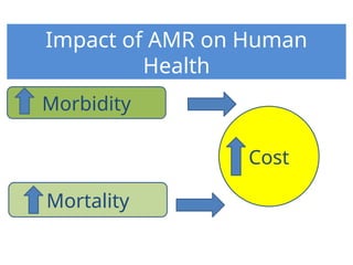 AMR Global threat And How To Prevent (1).pptx