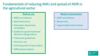 Strengths of the CGIAR Antimicrobial Resistance Hub
