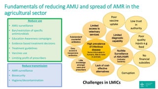 Strengths of the CGIAR Antimicrobial Resistance Hub