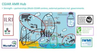 Strengths of the CGIAR Antimicrobial Resistance Hub