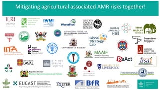 Strengths of the CGIAR Antimicrobial Resistance Hub
