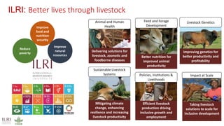 Strengths of the CGIAR Antimicrobial Resistance Hub