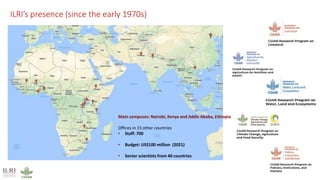 Strengths of the CGIAR Antimicrobial Resistance Hub