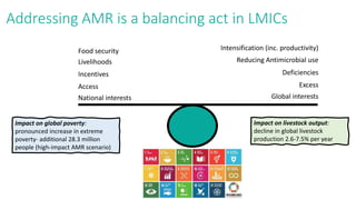 Strengths of the CGIAR Antimicrobial Resistance Hub