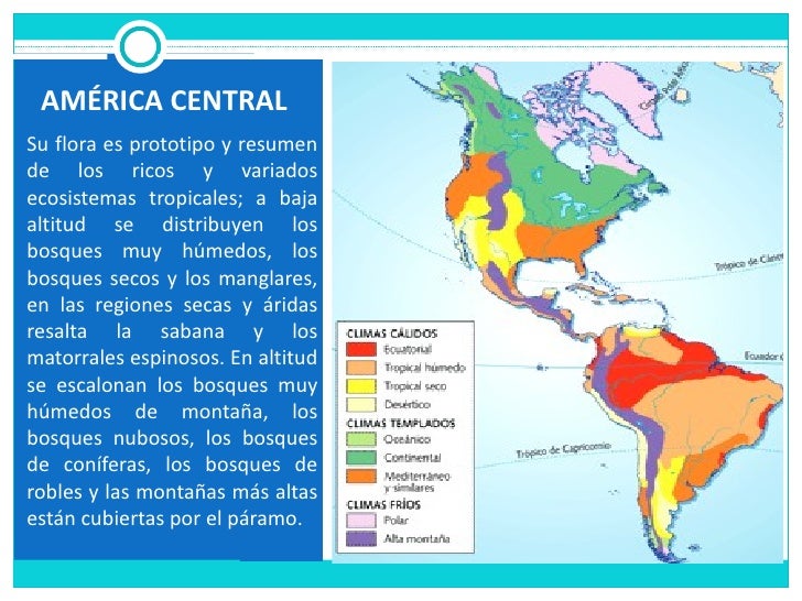 Que Tipo De Vegetacion Hay En America es.slideshare.net
