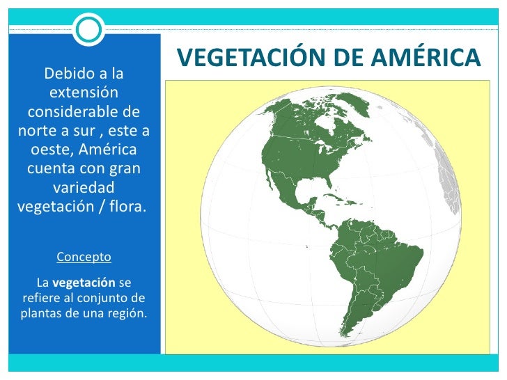 Que Tipo De Vegetacion Hay En America es.slideshare.net