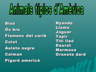 BisóBisó
Ós bruÓs bru
Flamenc del caribFlamenc del carib
CoiotCoiot
Aulata negreAulata negre
CaimanCaiman
Pigard americàPigard americà
NyandúNyandú
LlamaLlama
JaguarJaguar
TapirTapir
Tití lleóTití lleó
DauratDaurat
MarmosaMarmosa
Granota dardGranota dard
 
