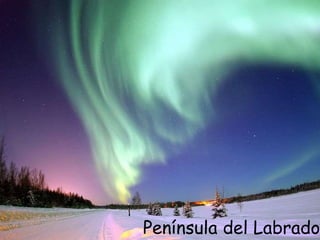 Península del Labrador