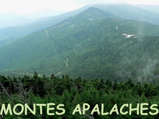 MONTES APALACHES