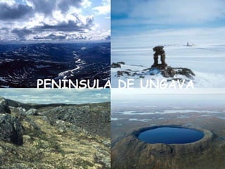 PENÍNSULA DE UNGAVA