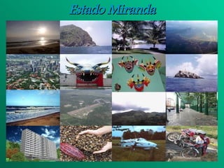 Estado   Miranda 