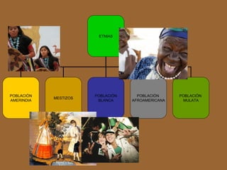 ETNIAS POBLACIÓN AMERINDIA MESTIZOS POBLACIÓN BLANCA POBLACIÓN  AFROAMERICANA POBLACIÓN  MULATA 
