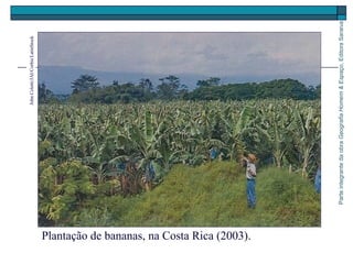 ParteintegrantedaobraGeografiaHomem&Espaço,EditoraSaraiva
Plantação de bananas, na Costa Rica (2003).
JohnColetti/JAI/Corbis/LatinStock
 