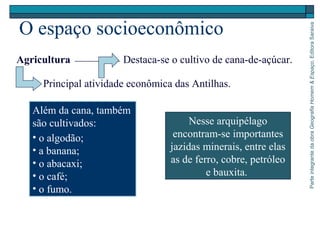 ParteintegrantedaobraGeografiaHomem&Espaço,EditoraSaraiva
O espaço socioeconômico
Nesse arquipélago
encontram-se importantes
jazidas minerais, entre elas
as de ferro, cobre, petróleo
e bauxita.
Agricultura
Principal atividade econômica das Antilhas.
Destaca-se o cultivo de cana-de-açúcar.
Além da cana, também
são cultivados:
• o algodão;
• a banana;
• o abacaxi;
• o café;
• o fumo.
 