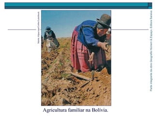 ParteintegrantedaobraGeografiaHomem&Espaço,EditoraSaraiva
Agricultura familiar na Bolívia.
MartinAlipaz/epa/Corbis/LatinStock
 