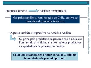 ParteintegrantedaobraGeografiaHomem&Espaço,EditoraSaraiva
Cada um desses países produz cerca de 8 milhões
de toneladas de pescado por ano.
Produção agrícola Bastante diversificada.
Nos países andinos, com exceção do Chile, cultiva-se
uma série de produtos tropicais.
• A pesca também é expressiva na América Andina
Os principais produtores de pescado são o Chile e o
Peru, sendo este último um dos maiores produtores
e exportadores de pescado do mundo.
 