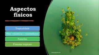 Aspectos
físicos
Tropicalidade
Ilhas vulcânicas e montanhosas
Furacões
Florestas tropicais
www.jografia.com
 