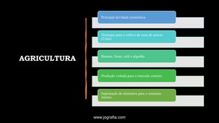AGRICULTURA
Principal atividade econômica
Destaque para o cultivo de cana de açúcar
(Cuba)
Banana, fumo, café e algodão
Produção voltada para o mercado externo
Importação de alimentos para o consumo
interno.
www.jografia.com
 