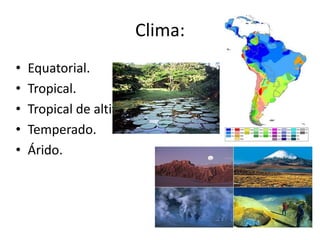 Localização:A  América do Sul é um subcontinente que compreende a porção meridional da América. Sua extensão é de 17.819.100 km², abrangendo 12% da superfície terrestre, porém só tem 6% da população mundial. Une-se à América Central, ao norte, pelo istmo do Panamá e separa-se da Antártica pelo estreito de Drake. Tem uma extensão de 7.500 km desde o mar do Caribe até o cabo Horn, ponto extremo sul do continente. 
