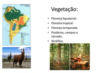 Relevo:Toda a costa leste da América do Sul é composta por planaltos de origem geológica muito antiga, devido a isso sofreu longos processos erosivos e atualmente possui características relativamente planas. Ex: Planalto do Brasil.No interior da América do Sul identifica-se em grande parte uma predominância de planaltos com pouca elevação e planícies. No extremo ocidente do subcontinente o relevo é constituído por grandes altitudes, onde está localizada a Cordilheiras dos desenvolve uma grande incidência de abalos sísmicos. Planície Amazônica e planície do Prata.