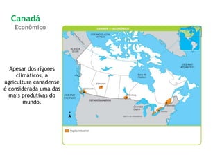 Apesar dos rigores
climáticos, a
agricultura canadense
é considerada uma das
mais produtivas do
mundo.
Canadá
Econômico
 