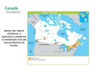 Apesar dos rigores
climáticos, a
agricultura canadense
é considerada uma das
mais produtivas do
mundo.
Canadá
Econômico
 