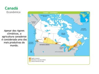 Apesar dos rigores
climáticos, a
agricultura canadense
é considerada uma das
mais produtivas do
mundo.
Canadá
Econômico
 