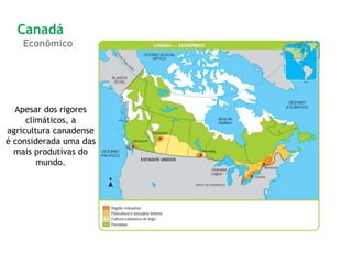 Apesar dos rigores
climáticos, a
agricultura canadense
é considerada uma das
mais produtivas do
mundo.
Canadá
Econômico
 