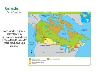 Apesar dos rigores
climáticos, a
agricultura canadense
é considerada uma das
mais produtivas do
mundo.
Canadá
Econômico
 