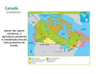 Apesar dos rigores
climáticos, a
agricultura canadense
é considerada uma das
mais produtivas do
mundo.
Canadá
Econômico
 
