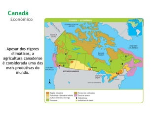 Apesar dos rigores
climáticos, a
agricultura canadense
é considerada uma das
mais produtivas do
mundo.
Canadá
Econômico
 