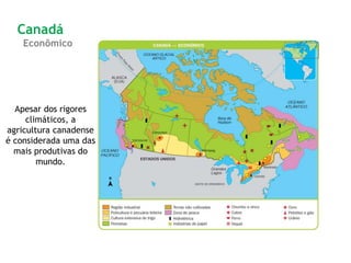 Apesar dos rigores
climáticos, a
agricultura canadense
é considerada uma das
mais produtivas do
mundo.
Canadá
Econômico
 