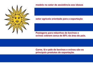 modelo no setor de assistência aos idosos setor agrícola orientado para a exportação Pastagens para rebanhos de bovinos e ovinos cobrem cerca de 80% da área do país.  Carne, lã e pele de bovinos e ovinos são os principais produtos de exportação. 