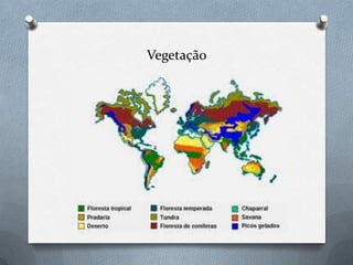 Vegetação
 