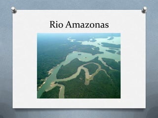 Rio Amazonas
 