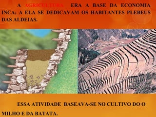 A AGRICULTURA ERA A BASE DA ECONOMIA
INCA; A ELA SE DEDICAVAM OS HABITANTES PLEBEUS
DAS ALDEIAS.
ESSA ATIVIDADE BASEAVA-SE NO CULTIVO DO O
MILHO E DA BATATA.
 