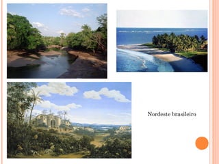 Nordeste brasileiro
 