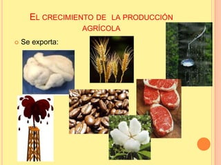 EL CRECIMIENTO DE LA PRODUCCIÓN
AGRÍCOLA
 Se exporta:
 