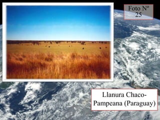 Llanura Chaco-
Pampeana (Paraguay)
Foto Nº
25
 