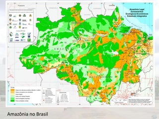 Amazônia no Brasil

 