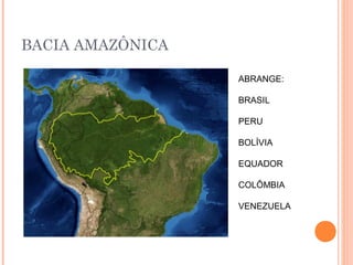 BACIA AMAZÔNICA
ABRANGE:
BRASIL
PERU
BOLÍVIA
EQUADOR
COLÔMBIA
VENEZUELA
 